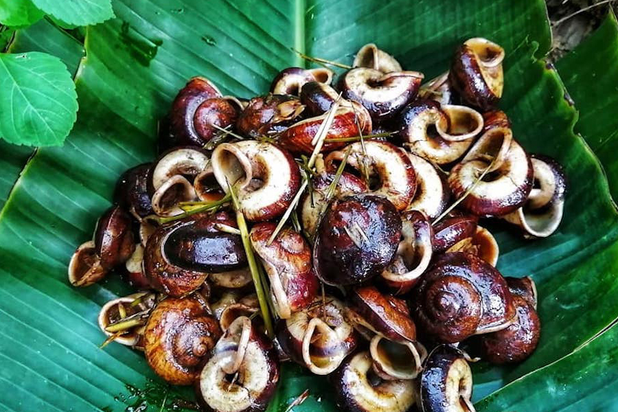 escargots de montagne est une réponse forte à “que manger à Pu Luong”
