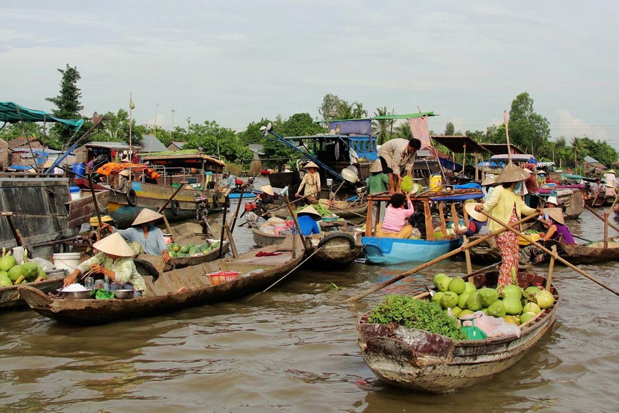 Top 10 des raisons de voyager dans le Sud Vietnam en 2026