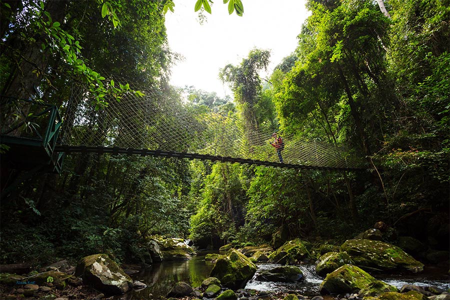 Prolongée dans les espaces verts au Laos