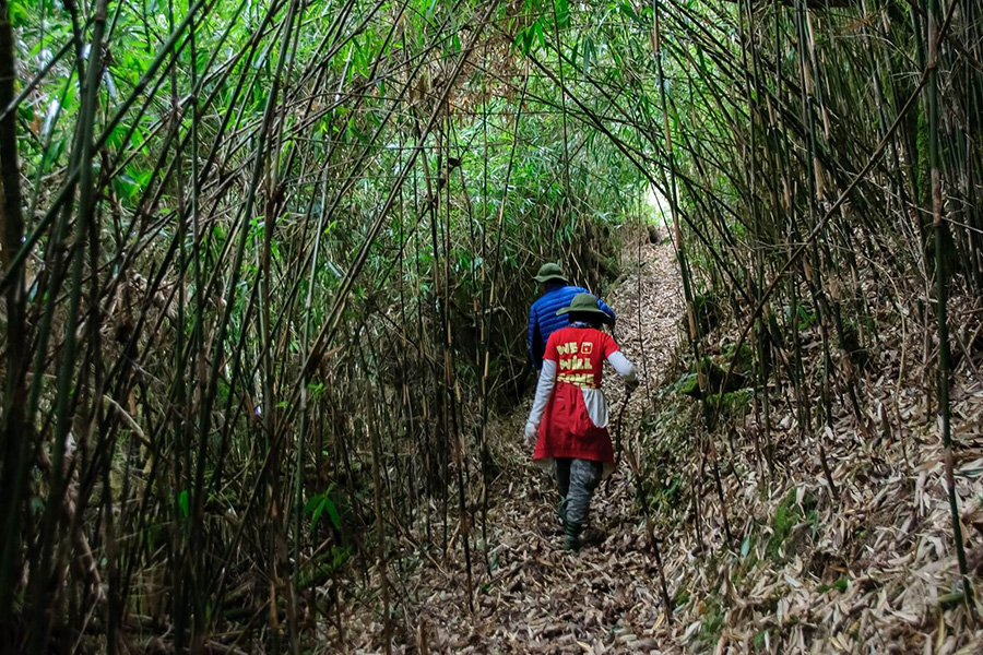 Le Pu Si Lung est une montagne exigeante pour les alpinistes dans le nord du Vietnam