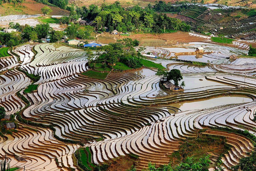 Les rizières en miroir de Y Ty, l’une des plus belles randonnées dans les rizières au Nord du Vietnam