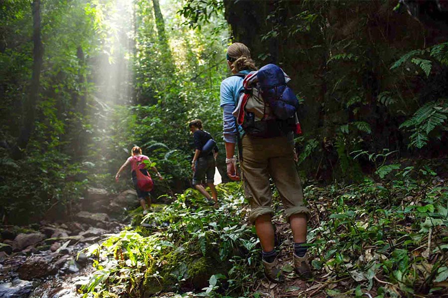 Trekking au Laos dans la forêt vierge de la réserve naturelle de Nam Ha