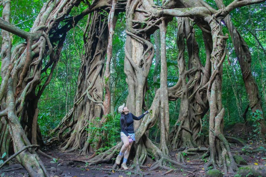 Les randonnées au Vietnam proposent de nombreuses expériences intéressantes qui attirent des touristes du monde entier.