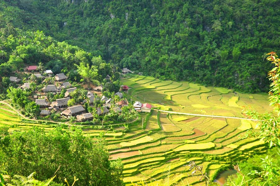 Le magnifique paysage de Pu Luong excite les visiteurs lors d'une randonnée au Vietnam