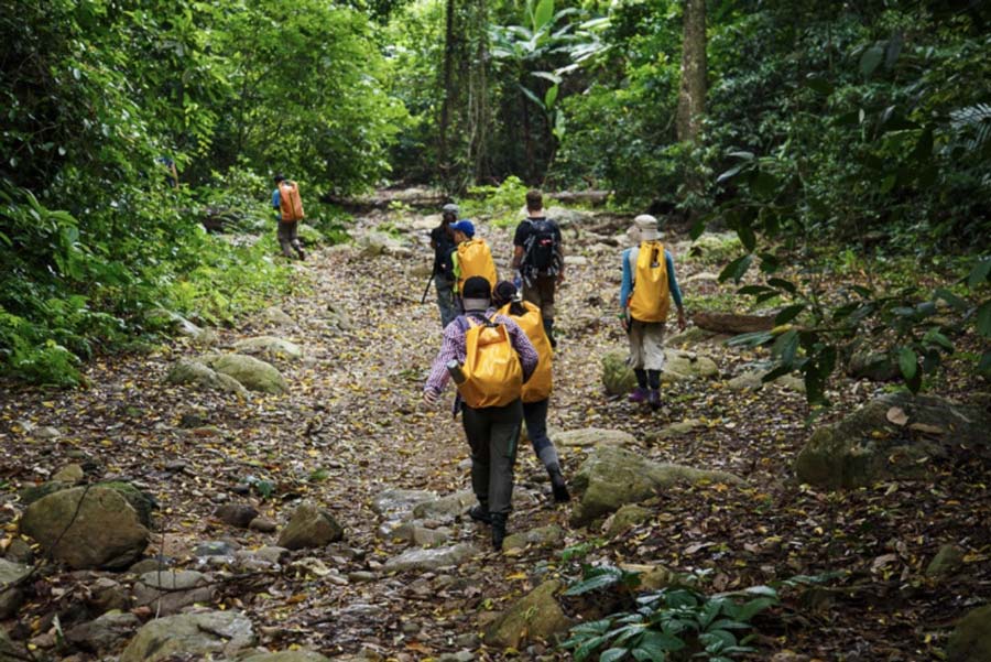 Le sentiers du parc national de Cat Tien est l'une des plus belles sentiers de randonnée au Vietnam