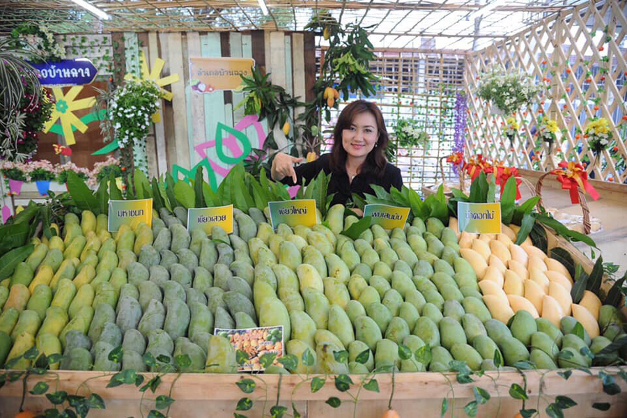 Rayong