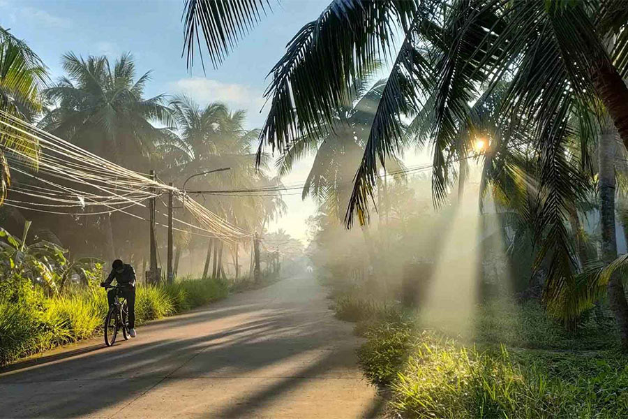 Si vous souhaitez explorer des zones agricoles paisibles, visitez le Sud au Vietnam