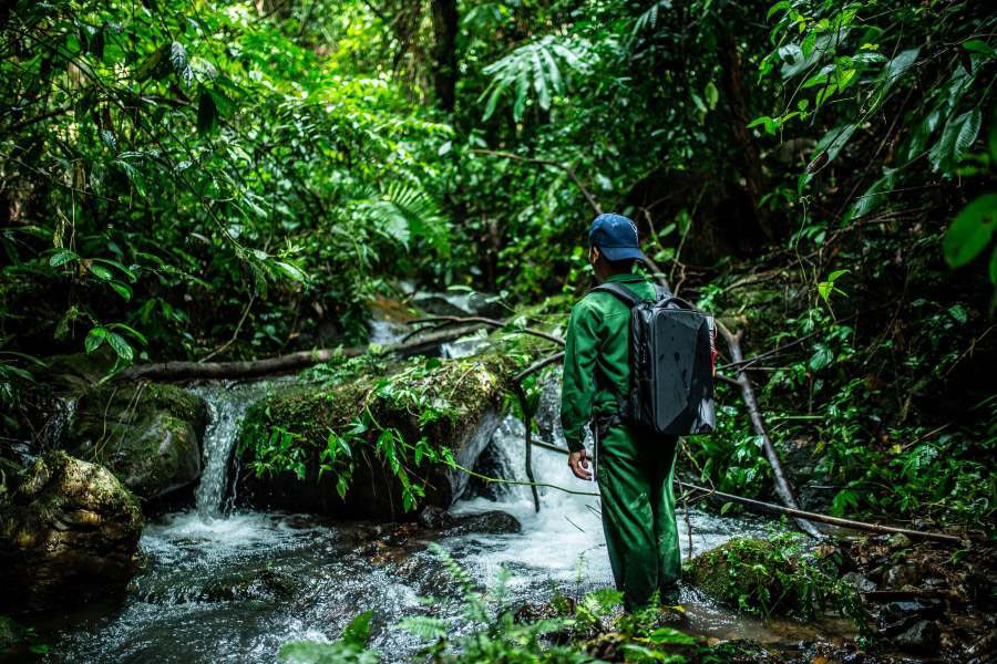 Trekking dans la forêt à la réserve naturelle de Bokeo