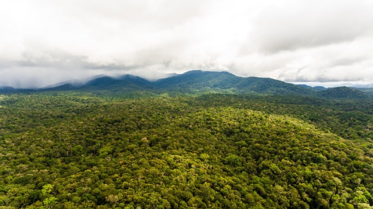 La réserve naturelle de Nam Nung