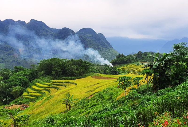 La réserve naturelle de Pu Luong