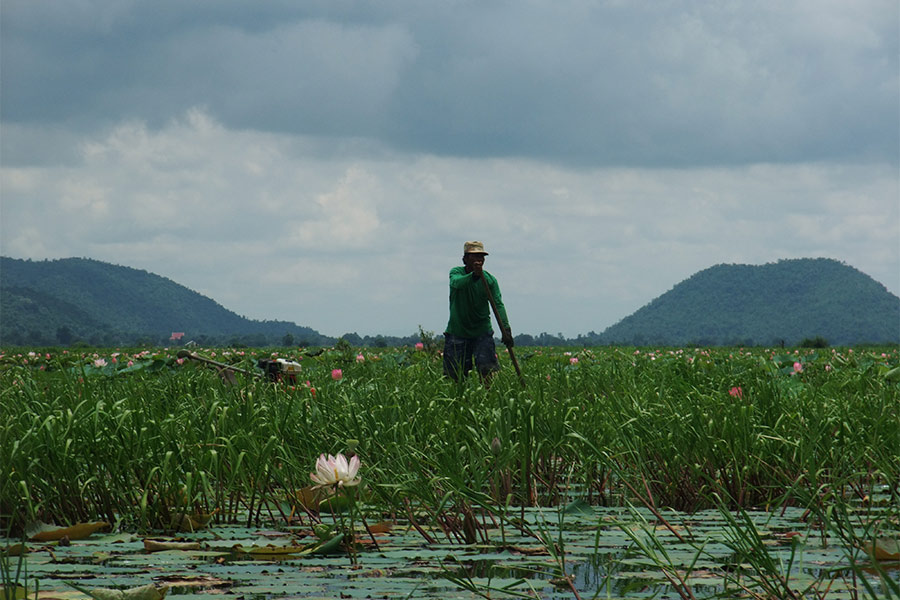 Zone de réservoir Kampong Bouy se trouve dans la province de Battambang