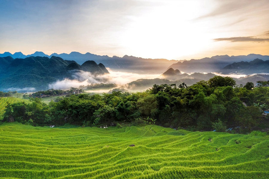 Top 5 des belles rizières en terrasse au Vietnam à ne pas manquer