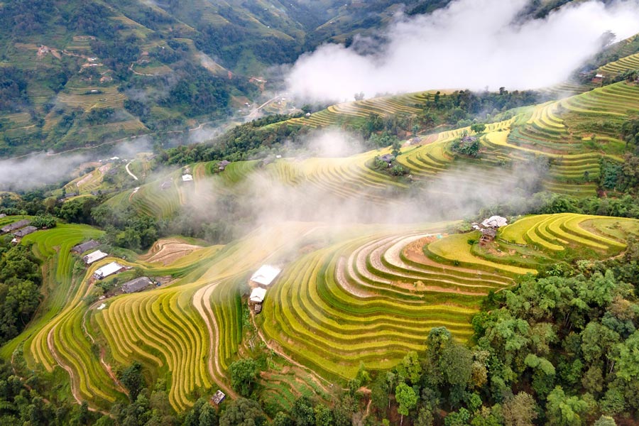 Top 5 des belles rizières en terrasse au Vietnam à ne pas manquer