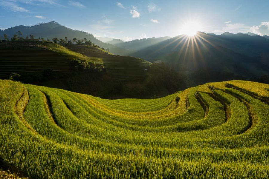 Top 5 des belles rizières en terrasse au Vietnam à ne pas manquer