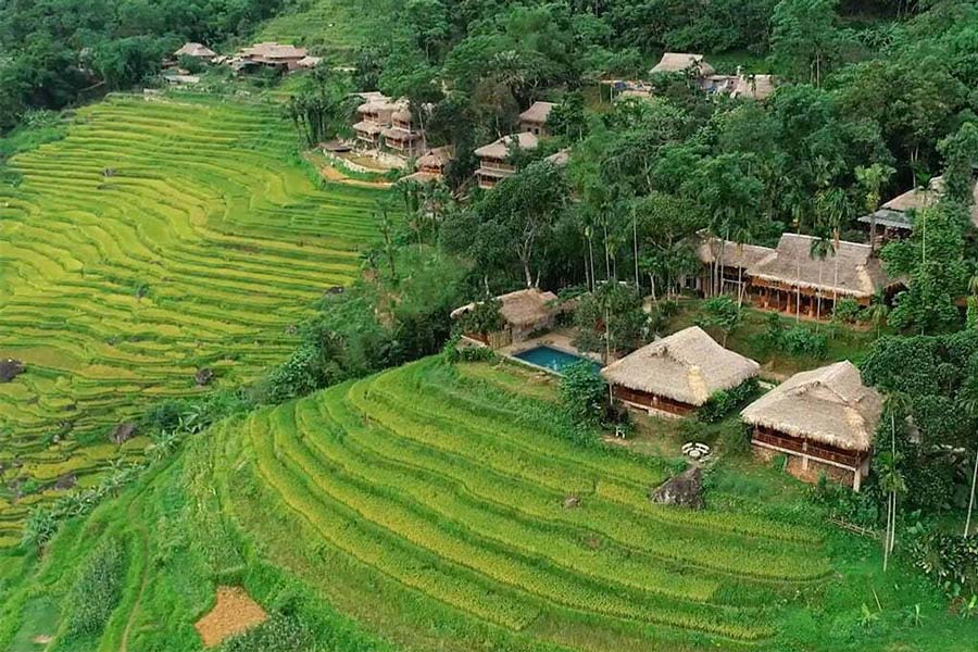 Top 5 des belles rizières en terrasse au Vietnam à ne pas manquer