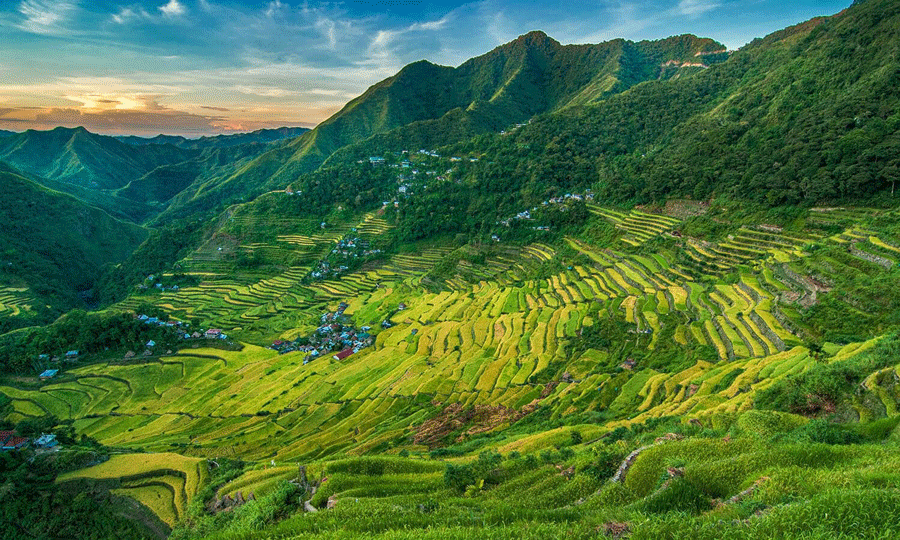 Rizières en terrasses de Banaue 