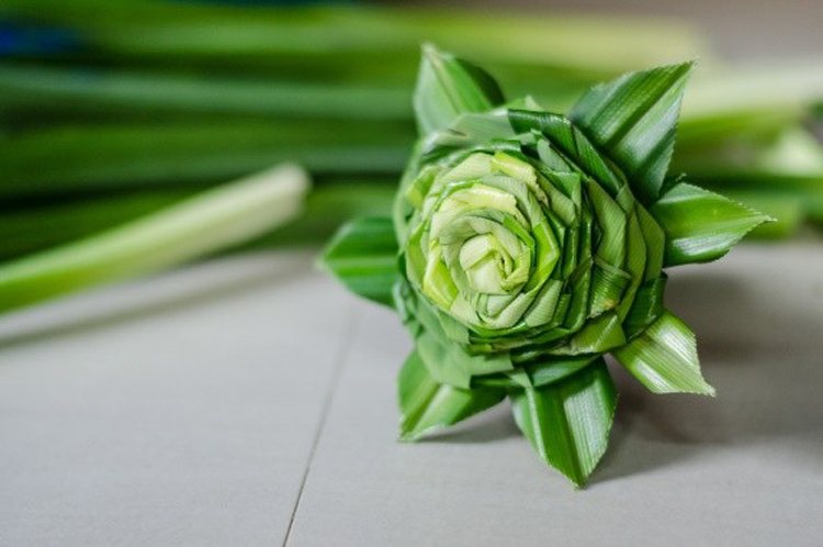 Expérience de faire une rose à partir de feuille d'arbre