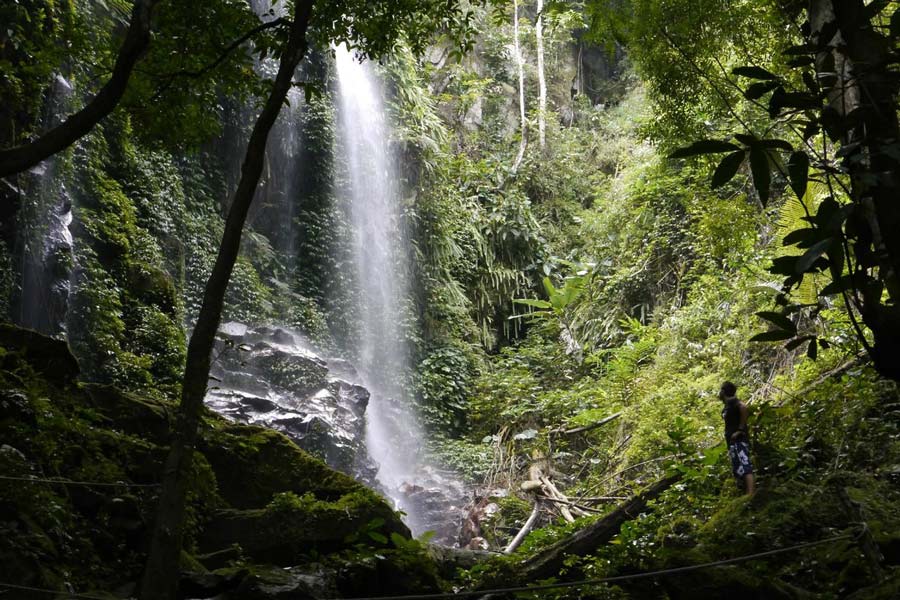 Trekking à la cascade de Sungai Kooi au parc royal de Belum