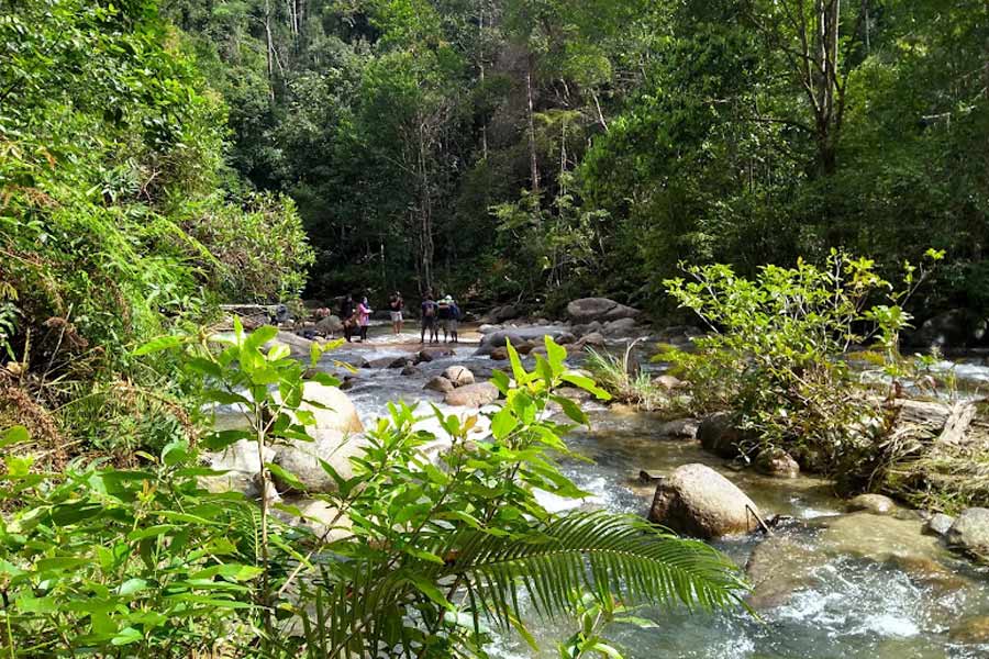 Le sanctuaire de poissons de Sungai Ruok au parc royal de Belum