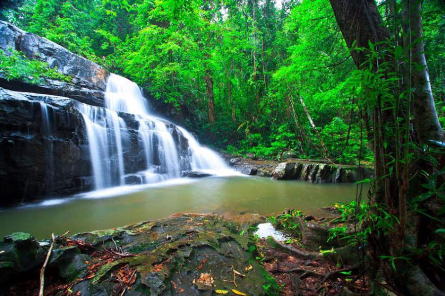 Le parc national de Pang Sida à Sa Kaeo