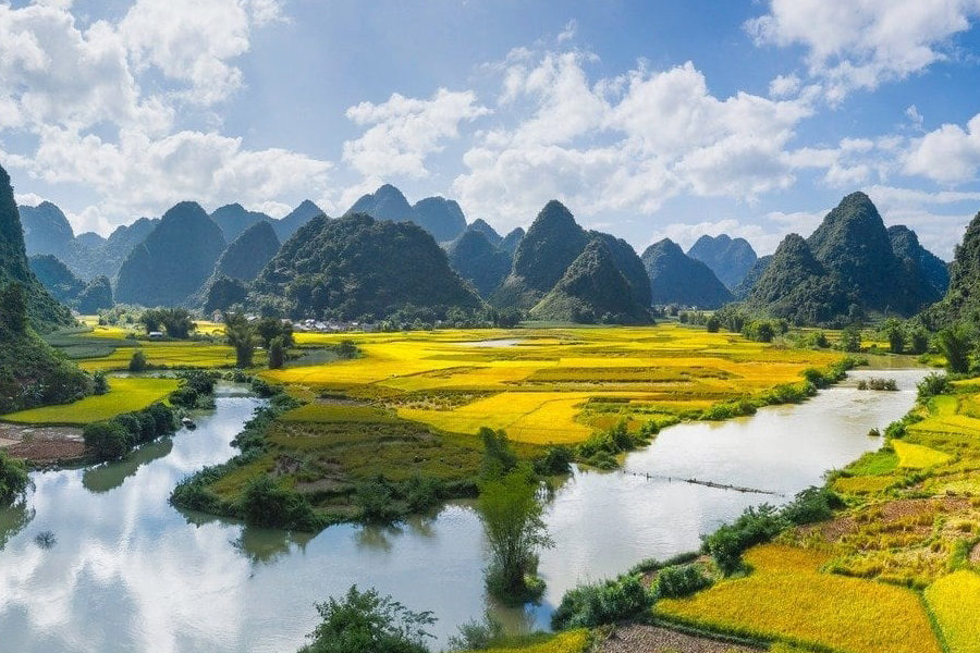 Cao Bang révèle une beauté rare à l'entrée de la saison des rizières