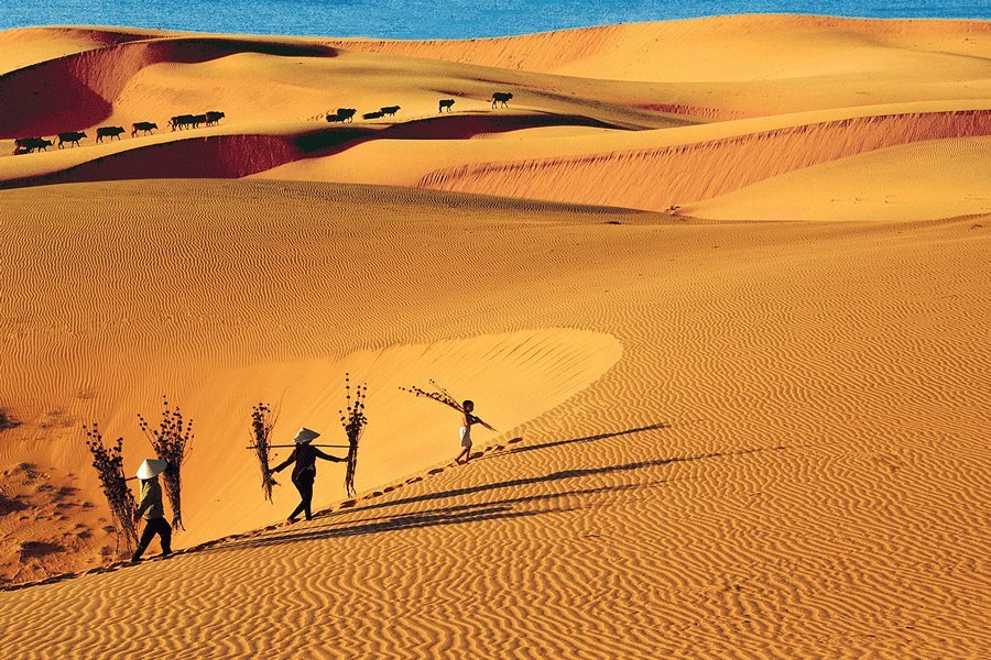 Dunes de sable rouge à Mũi Né, l’un des paysages emblématiques des destinations authentiques au Vietnam