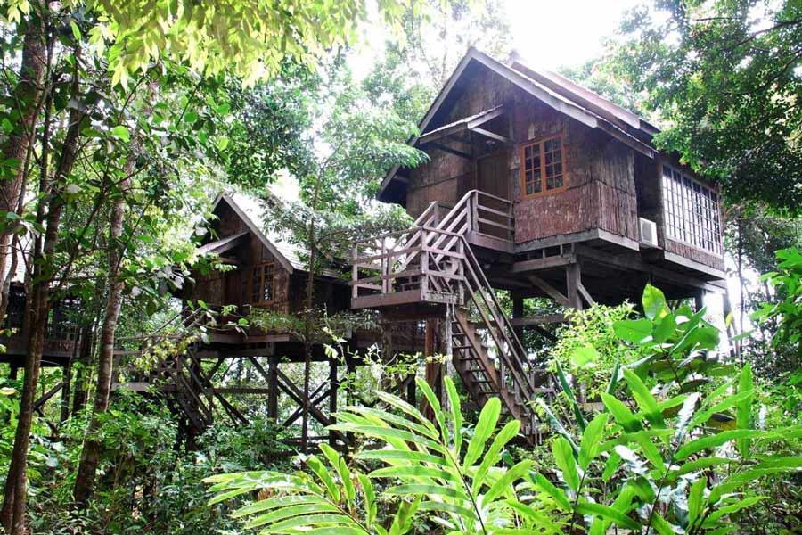 La beauté sauvage du Permai Rainforest Resort