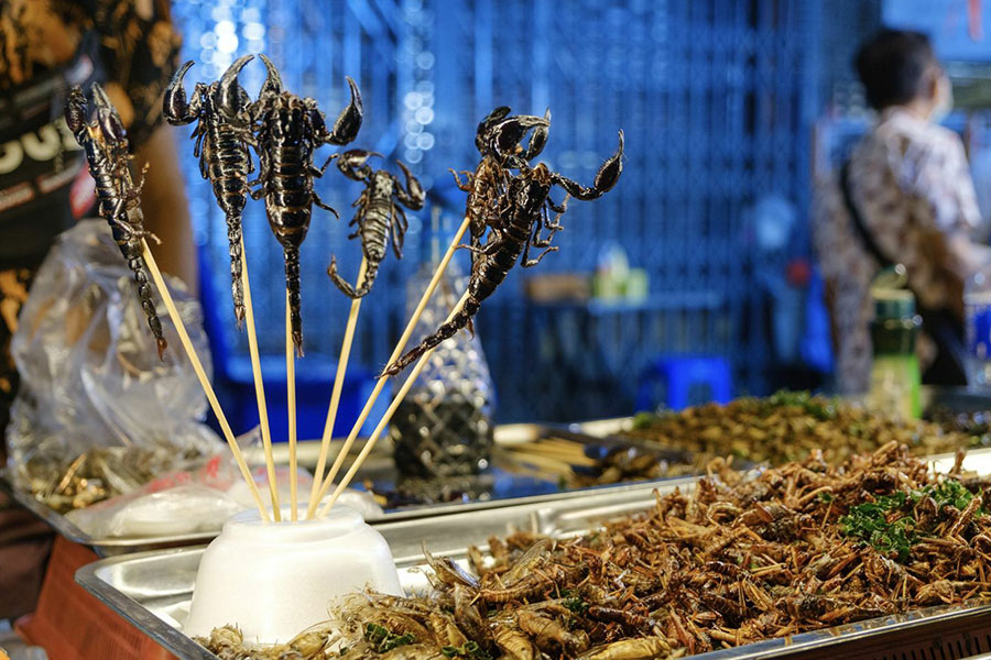 Scorpions frits, l'audace de la cuisine de rue à Chiang Mai
