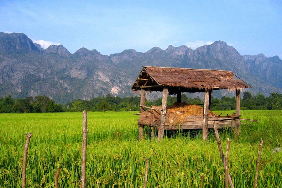 Nature à Si Phan Don