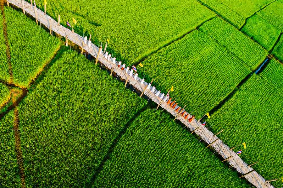 Le pont de Su Tong Pea