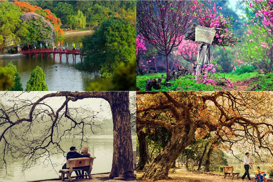 Sud Vietnam ou Nord Vietnam