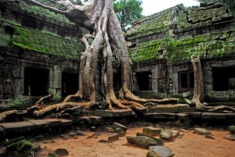 Temple Ta Prohm porte une beauté mystérieuse