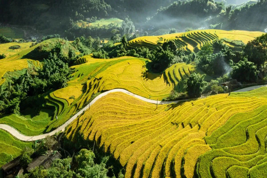 Le village de Ta Van, perle cachée du Nord du Vietnam