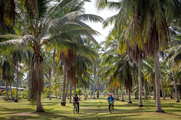 Takhian Tia (Ta Kien Tia) est une communauté touristique à Chonburi