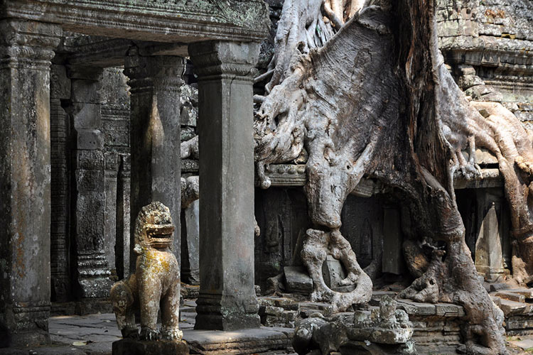 La beauté ancienne du temple Preah Khan