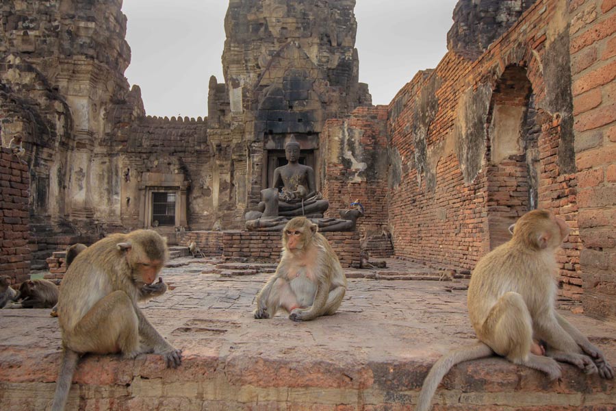 Lopburi - l'une destinations les plus sous - estimées en Thaïlande