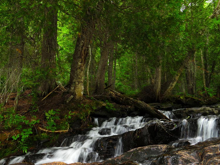 Thung Teao est célèbre pour sa forêt tropicale humide