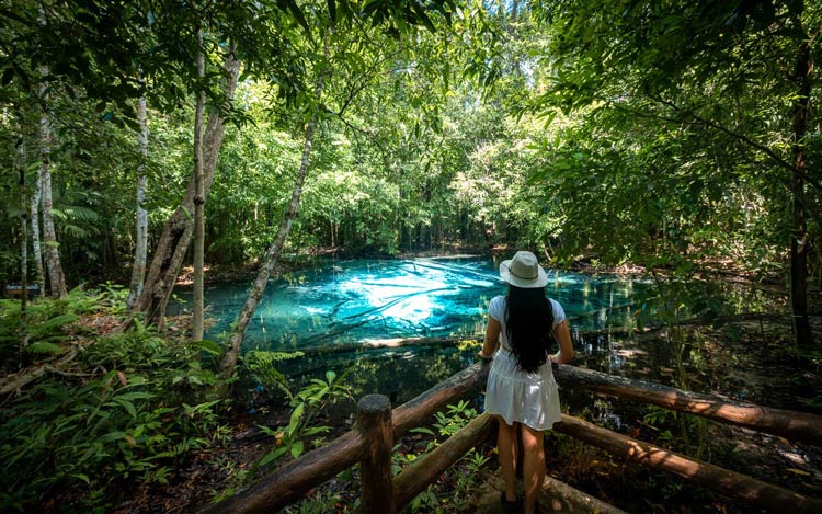 Parc naturel de la forêt de Thung Teao est considéré comme une étoile de l'écotourisme à Krabi