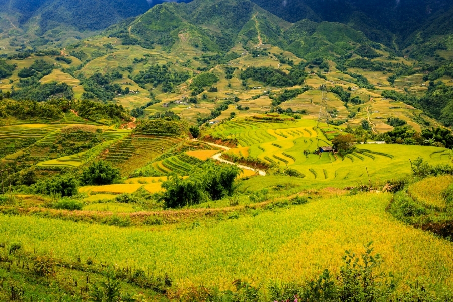 magnifiques rizieres en terrasse a sapa lao cai