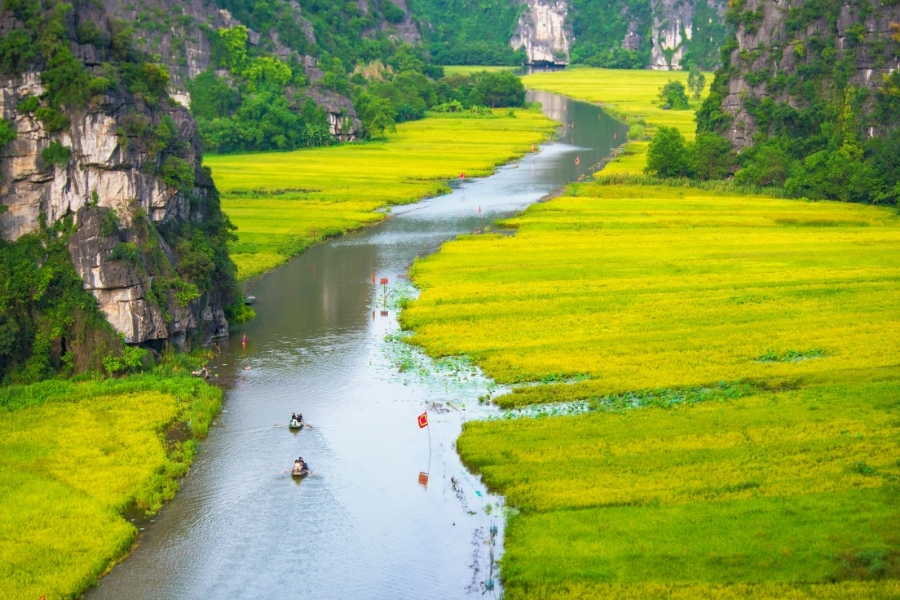 balade en barque sur la riviere ngo dong a tam coc ninh binh
