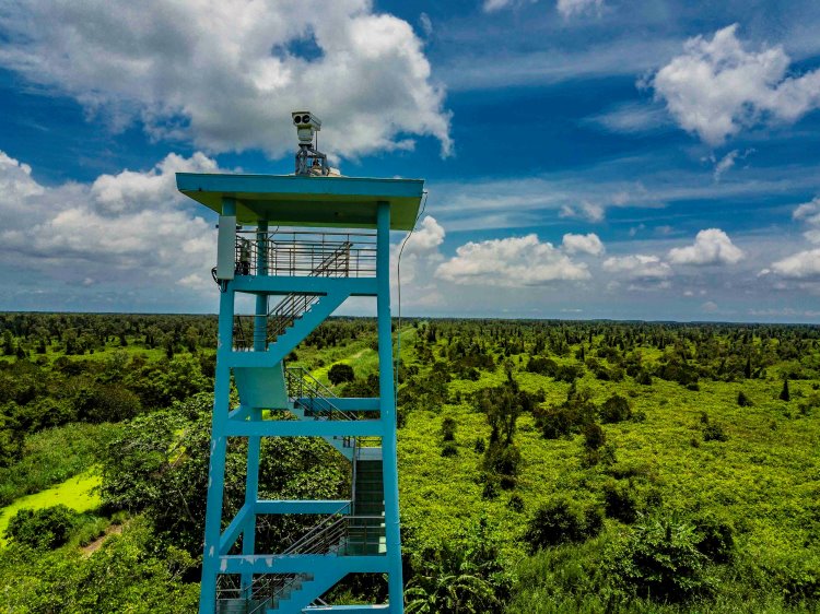 La tour d'observation au coeur de la forêt