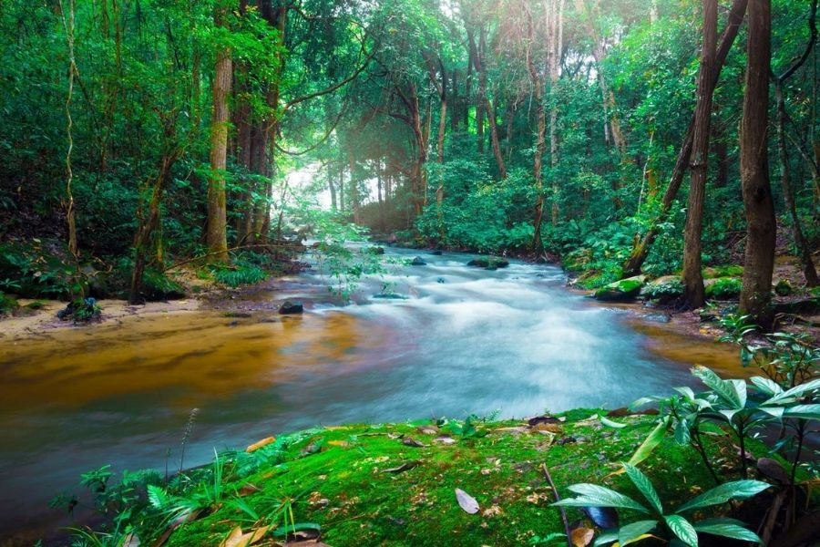 séjour nature en Thailande - nature sauvage du nord thailande