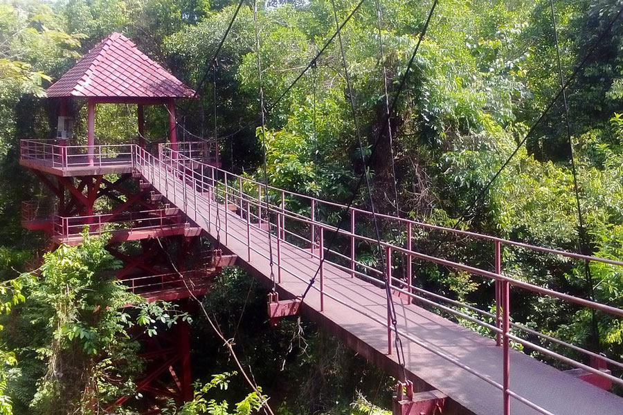 Jardin  botanique de Thung Khai 