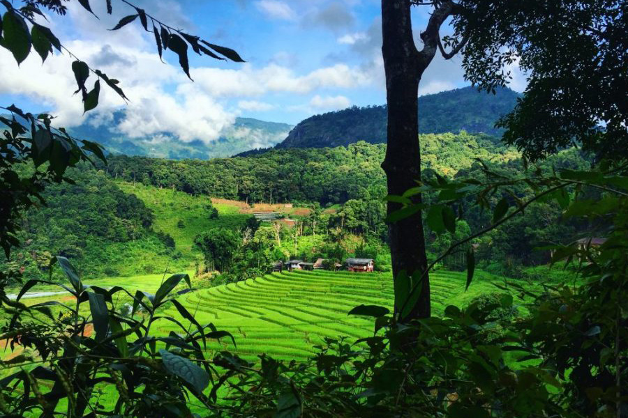 Moment paisible au cœur d’un trek dans les montagnes du Nord Thaïlande