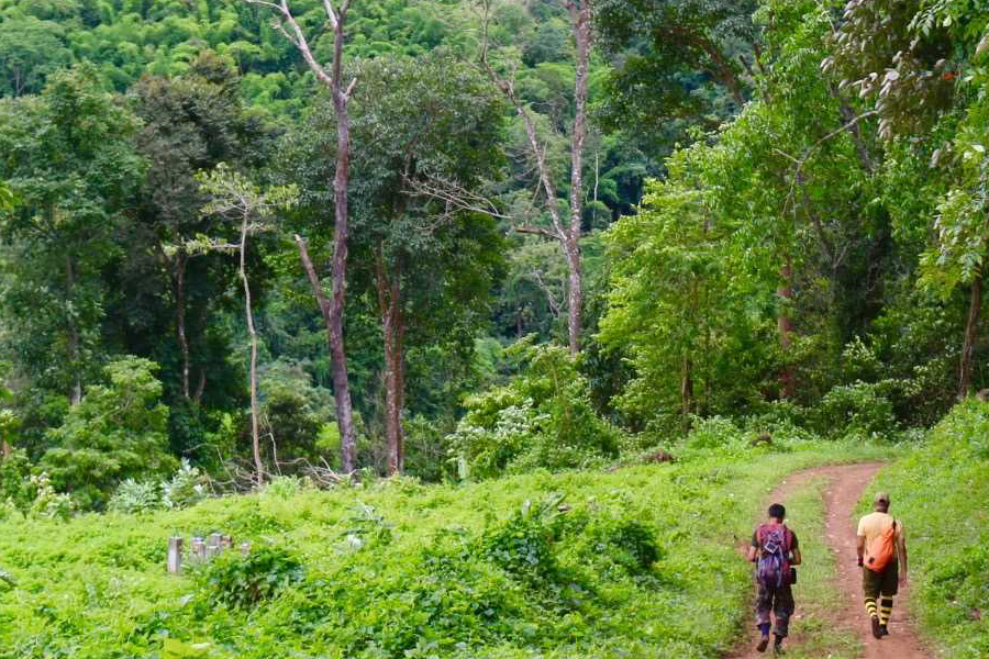 Chiang Mai, point de départ idéal pour un trek dans les montagnes du Nord Thaïlande