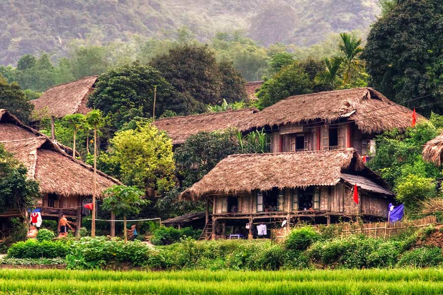 Trekking à Mai Chau 3 jours: Que faire et voir