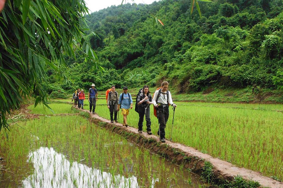 Trekking au Cambodge