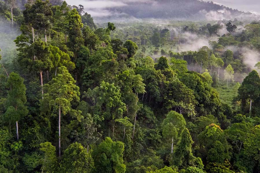Trekking au Cambodge