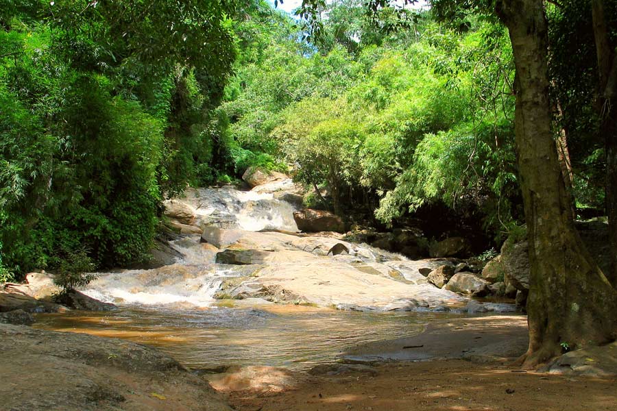 Randonnée d’une journée à Doi Suthep-Pui