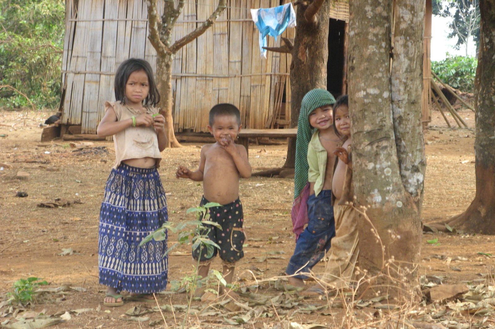 Trekking Jungle : Ratanakiri vs Mondulkiri, Guide Complet 2025